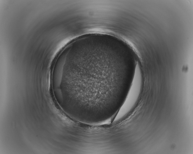 X0000090931323200708131445