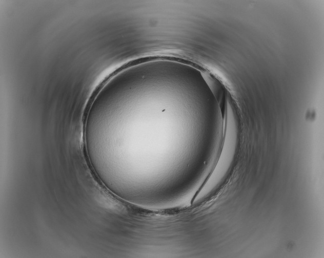 X0000090931324200708131445