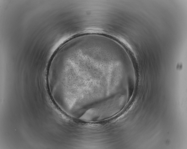 X0000090931325200708131445