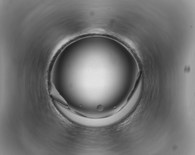 X0000090931326200708131445