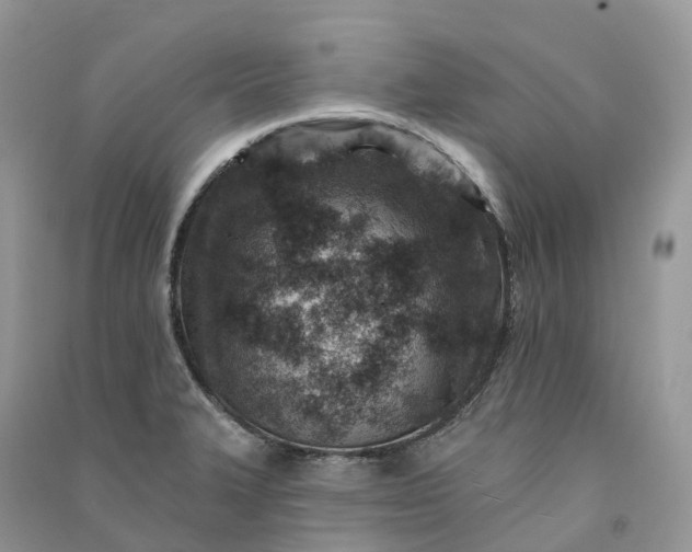 X0000090931327200708131445