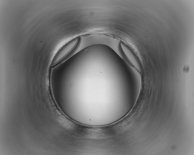 X0000090931328200708131445