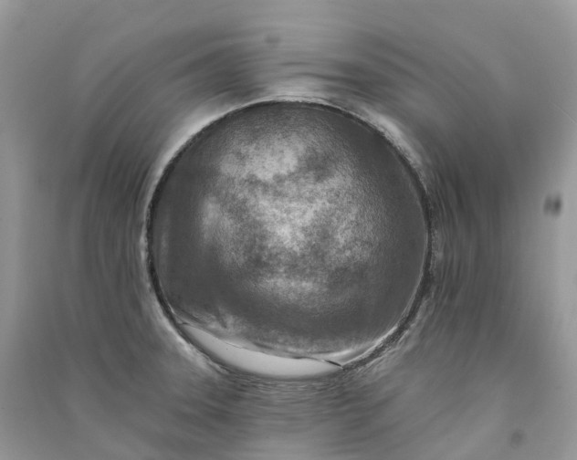 X0000090931331200708131446