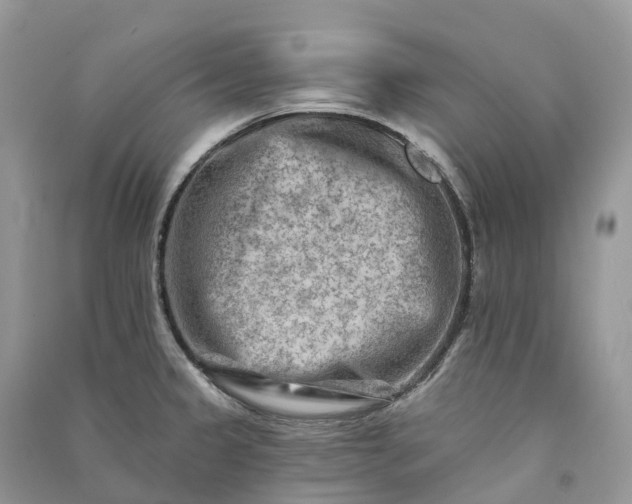 X0000090931333200708131446