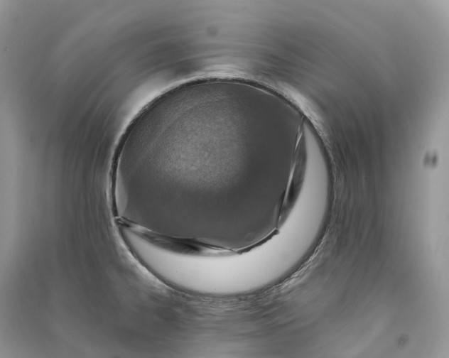 X0000090931334200708131446