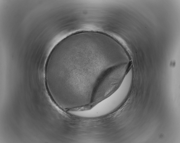 X0000090931335200708131446