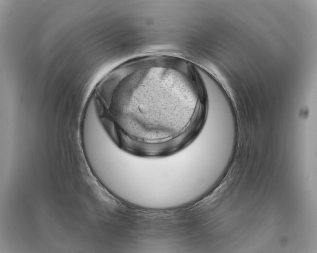 X0000090931336200708131446