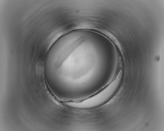 X0000090931337200708131446