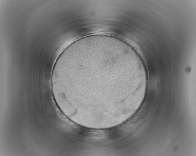 X0000090931338200708131446