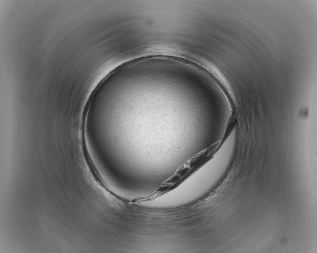 X0000090931339200708131446