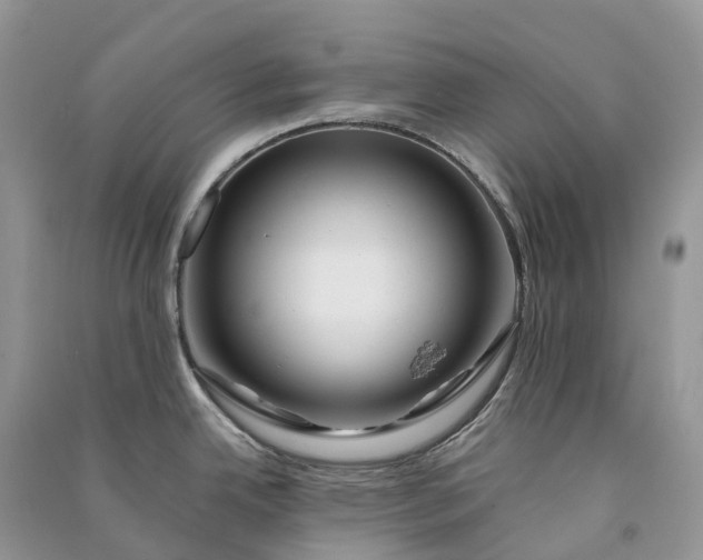 X0000090931342200708131446