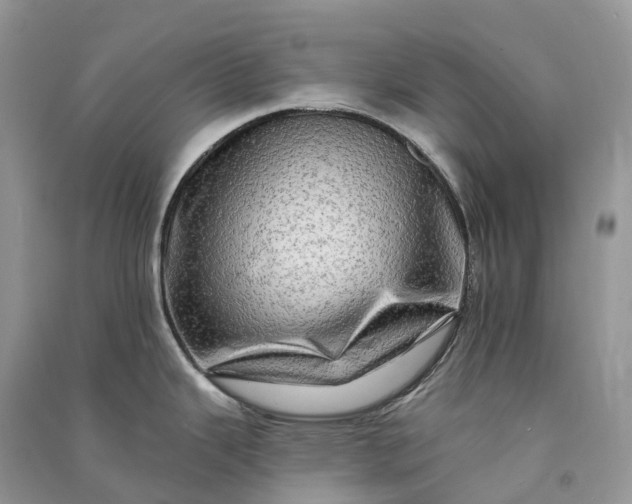 X0000090931343200708131446