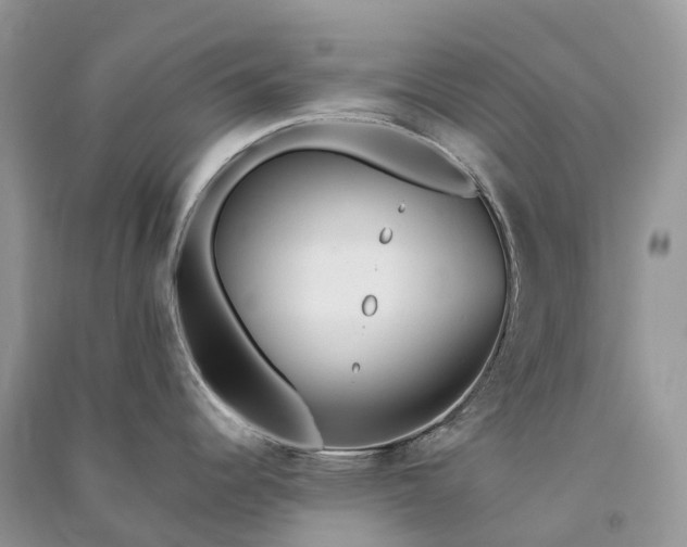 X0000090931344200708131446