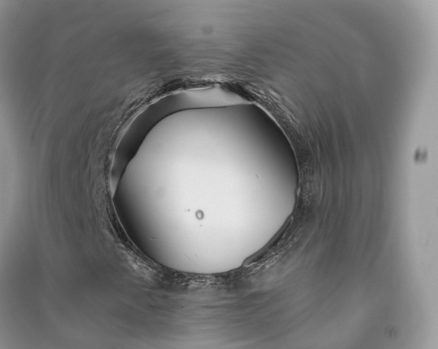 X0000090931345200708131445