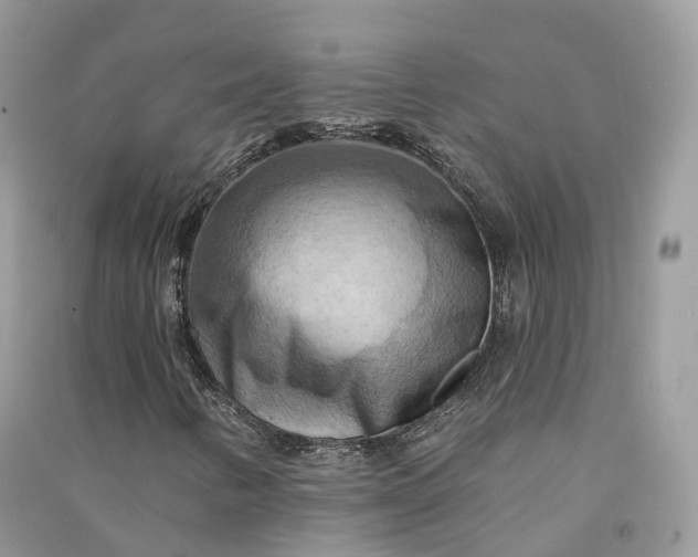 X0000090931346200708131445