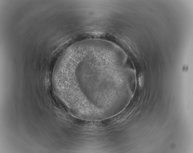 X0000090931347200708131445