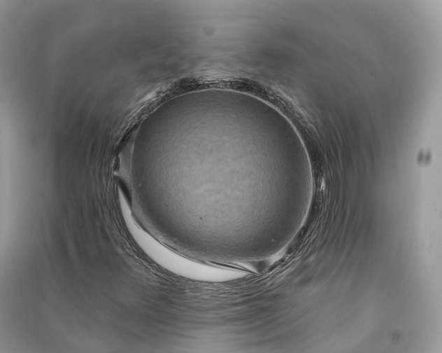 X0000090931348200708131445