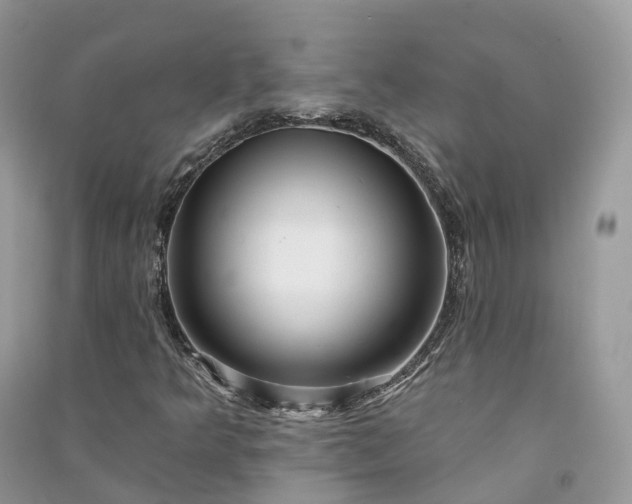 X0000090931349200708131445