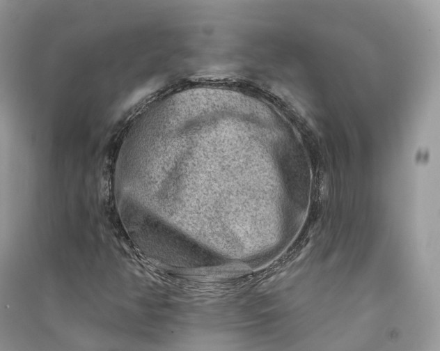 X0000090931350200708131445