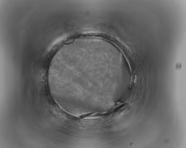 X0000090931351200708131445