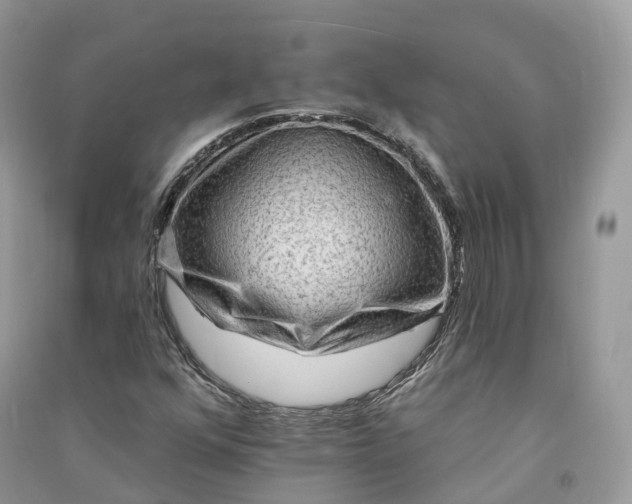 X0000090931352200708131445