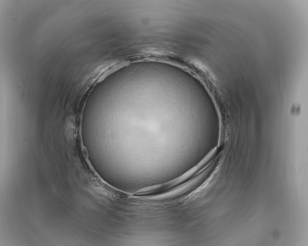 X0000090931353200708131445