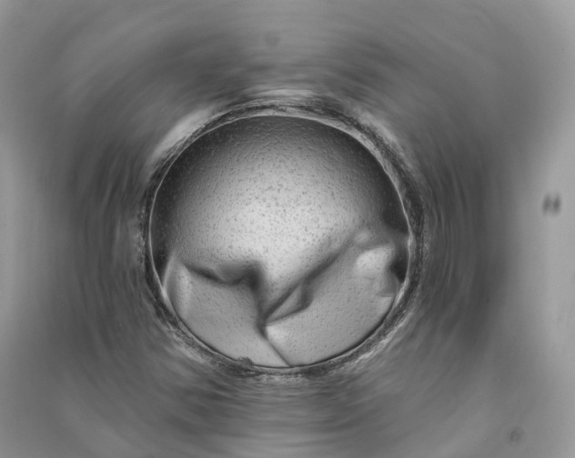 X0000090931354200708131445