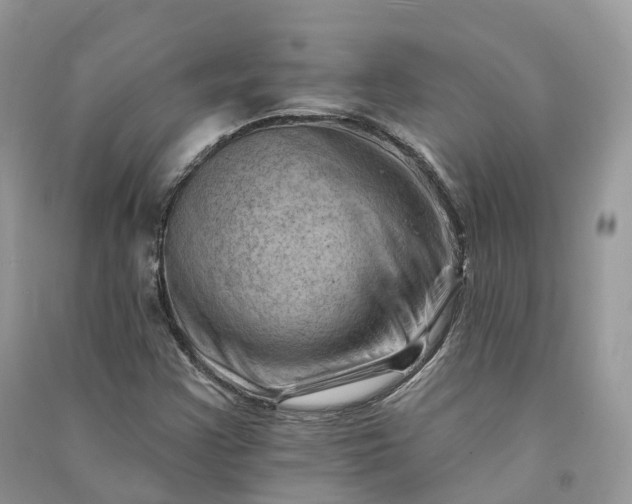 X0000090931355200708131445