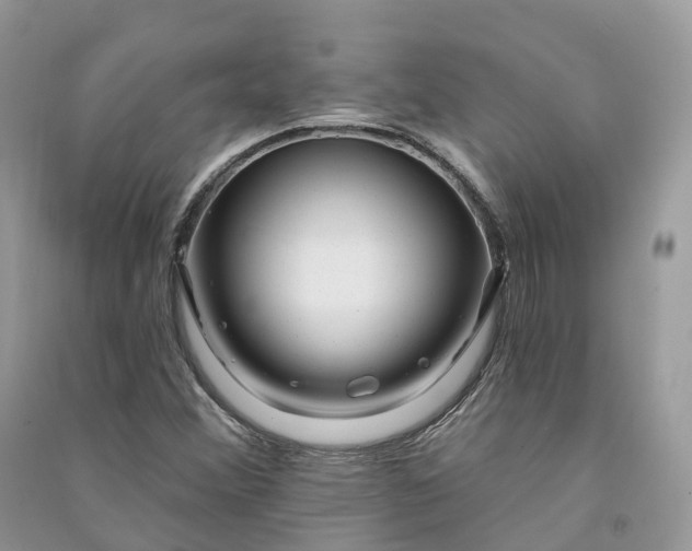 X0000090931356200708131445