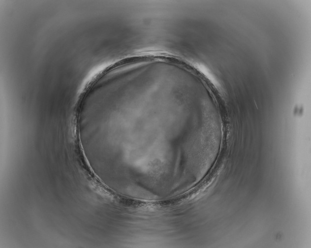 X0000090931358200708131445