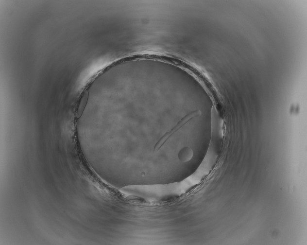 X0000090931359200708131445