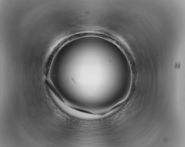 X0000090931360200708131445