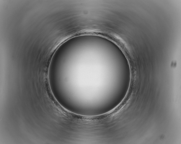 X0000090931361200708131445