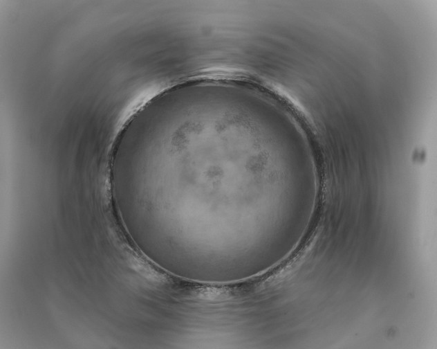 X0000090931362200708131445