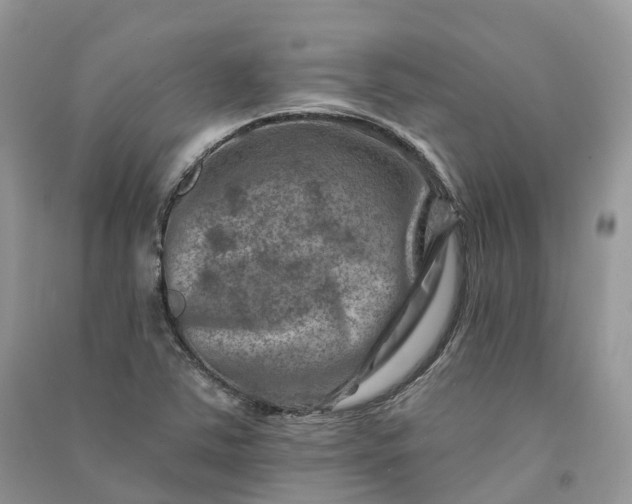 X0000090931363200708131445