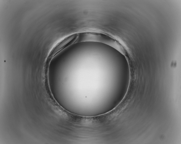 X0000090931364200708131445