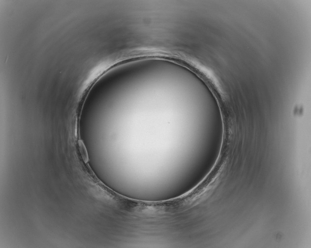 X0000090931365200708131445