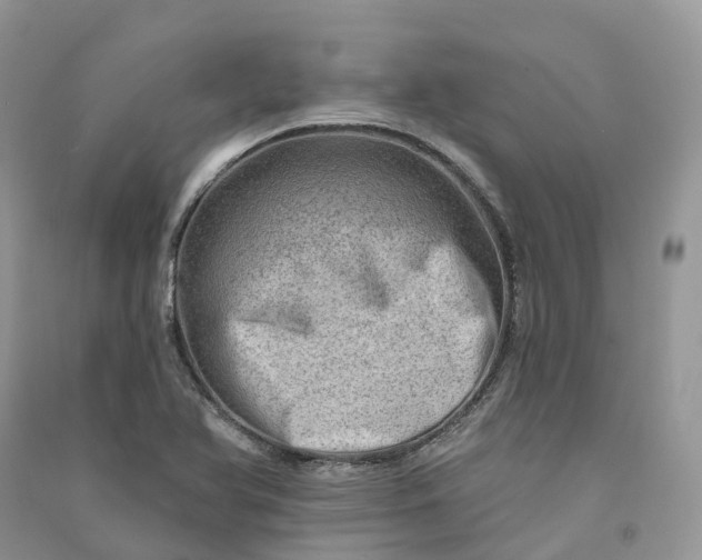 X0000090931366200708131445