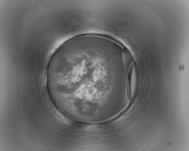 X0000090931367200708131445