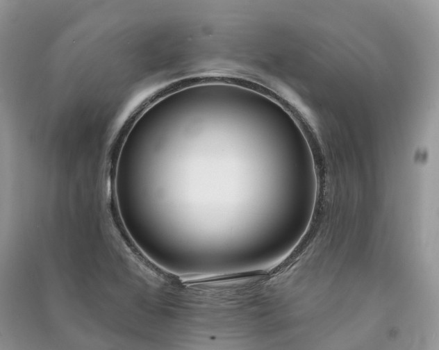 X0000090931368200708131445