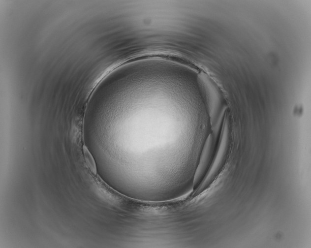 X0000090931369200708131445