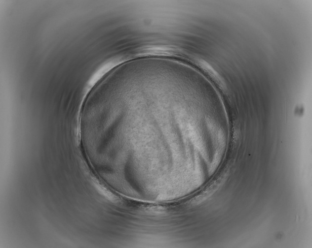 X0000090931370200708131445