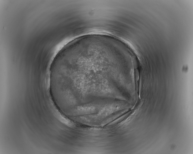 X0000090931371200708131445