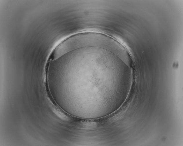 X0000090931372200708131445