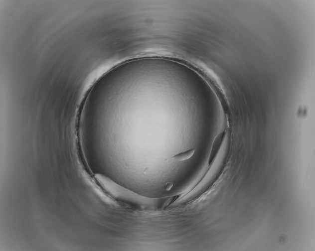 X0000090931373200708131445