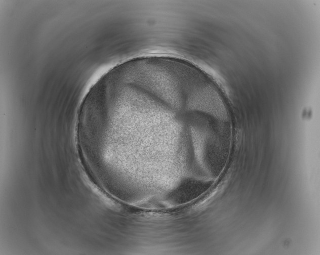 X0000090931374200708131445