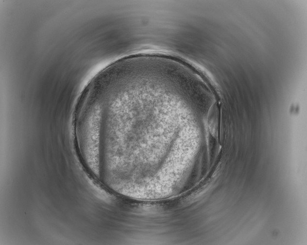 X0000090931375200708131445