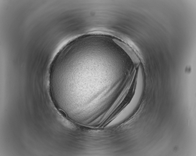 X0000090931376200708131445