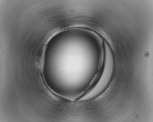 X0000090931377200708131445