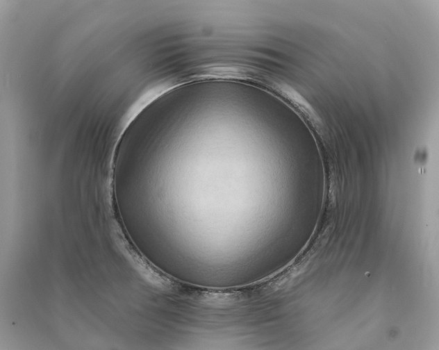 X0000090931378200708131445